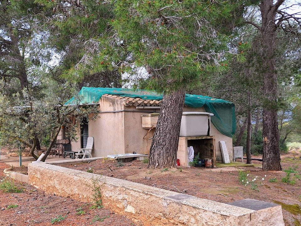 Finca i Tivissa, Tarragona - bilde 2